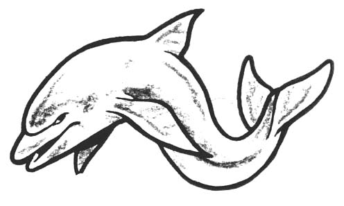 delfin na tatuaż