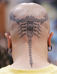 tatuaze 1388