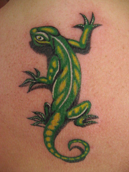 tatuaze 1635