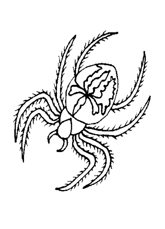 tatuaż pająk krzyżak