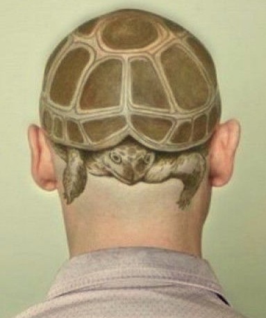 śmieszne zdjęcia tatuaże zółwie