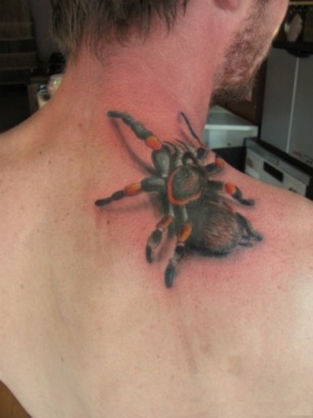 tarantula spider tattoo