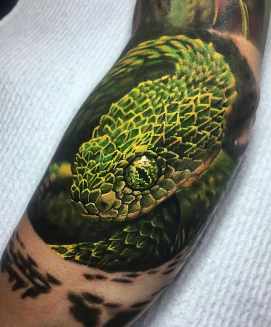 green viper tattoo
