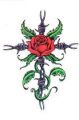 róża na krzyżu