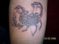 skorpion tatuaż