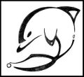 tattoo delfin