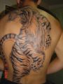 tatuaze 723