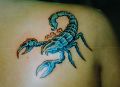 niebieski skorpion na plecach