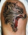 wilk wzór tatuażu na ramieniu