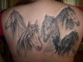 tatuaże konie
