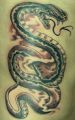 tatuaż wąż
