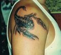 skorpion, tatuaż na ramieniu