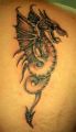 dragon tattoos back