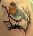 ptak tattoo