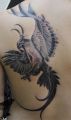 phoenix best tattoo