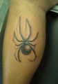 spider tattoo on calf