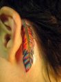 tatuaże kolorowe, pióro za uchem