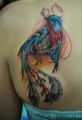 Colorful bird tattoo on her back
