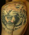 big tiger tattoo