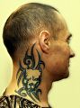 pitbul and tribal tattoo