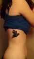 bird on ribs tattoo