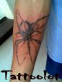 tatuaż pająk na ręce