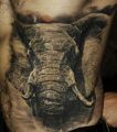 best 3d tattoos elephants