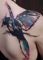 colorful birds tattoos