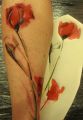 poppies tattoos designs