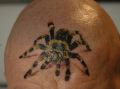 tarantula tatuaż na głowie