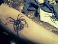 black spider tattoo