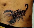 skorpion tatuaż na brzuchu