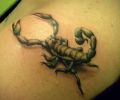 scorpion 3d tattoo