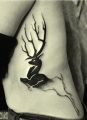 deer tattoo on the ribs