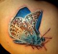 blue butterfly tattoo on the back