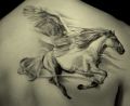 pegasus tattoo