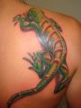 lizard tattoos 3