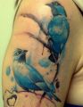 blue birds tattoos