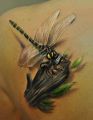 tattoo dragonfly