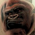 gorilla tattoo on the back