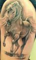 white horse tattoo