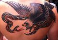 eagle snake tattoos