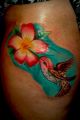 tattoo humming-bird