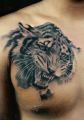 tiger tattoo tumblr