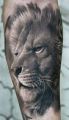 lion amazing tattoos