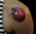 3d ladybug tattoo