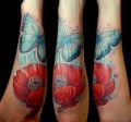 motyle i maki tatuaże