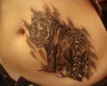 tattoo tiger on belly