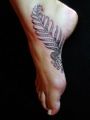 feather tattoo on the foot