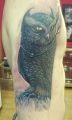 tattoo owl 3